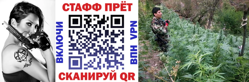 Наркошоп купить Псилоцибиновые грибы  Меф  Гашиш  Оса