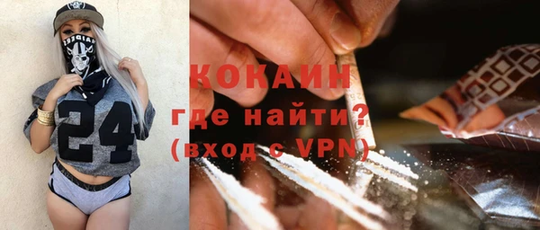 гидра Вязьма