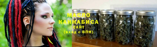 гидра Вязьма
