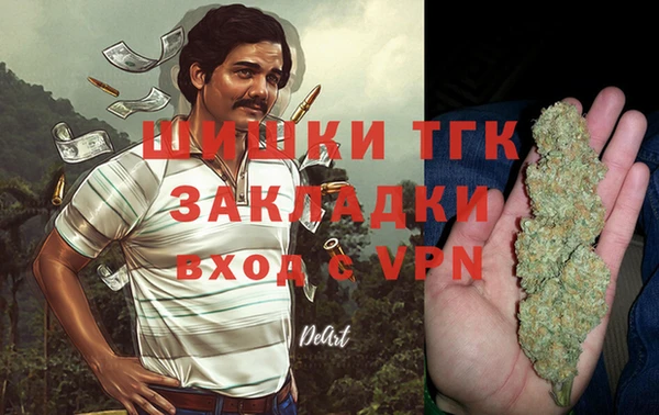 гидра Вязьма