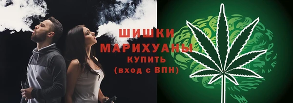 гидра Вязьма