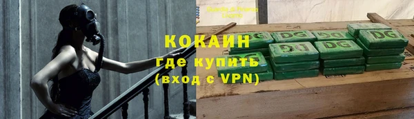 гидра Вязьма