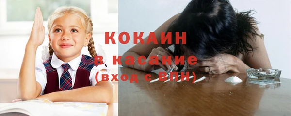 гидра Вязьма