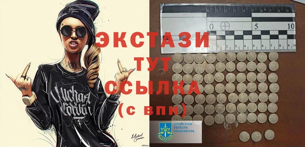 гидра Вязьма