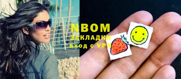 гидра Вязьма