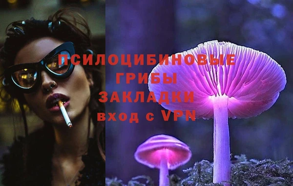 гидра Вязьма