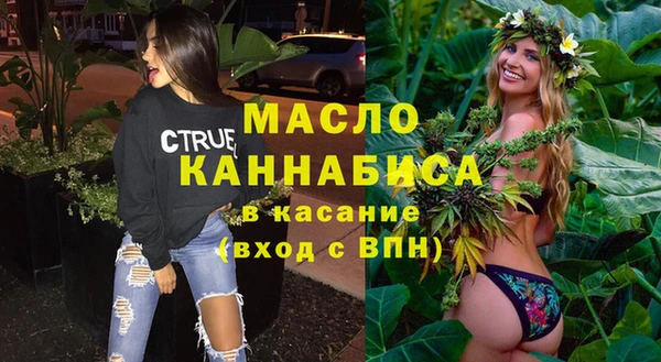 гидра Вязьма