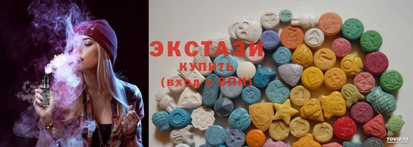 гидра Вязьма