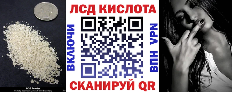 Купить закладки  Оса  ЛСД экстази кислота 