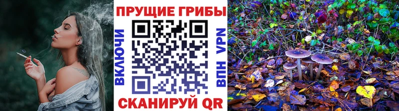 Галлюциногенные грибы MAGIC MUSHROOMS  Купить  Оса 
